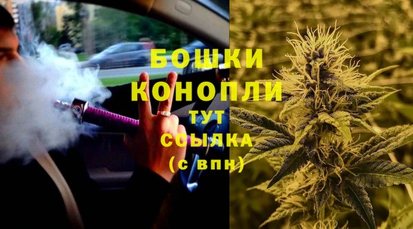 прущая мука Арсеньев